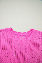 Beau Blue Pointelle Knit Patterned Scalloped Trim Short Sleeve Sweater